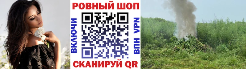 Где купить наркотики Новозыбков ГАШИШ  hydra маркетплейс  Cocaine  Меф мяу мяу  МАРИХУАНА 