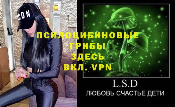спиды Алзамай