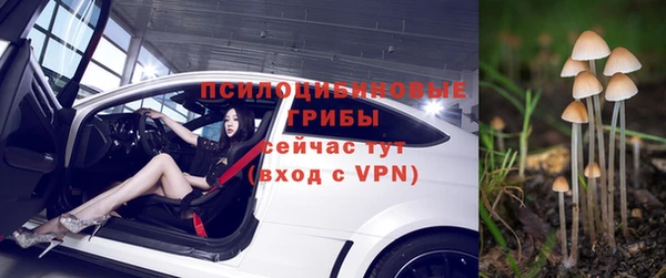 ГАЛЛЮЦИНОГЕННЫЕ ГРИБЫ Алексин