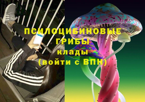 спиды Алзамай