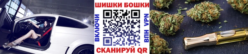купить закладку  Новозыбков  Бошки марихуана Ganja 